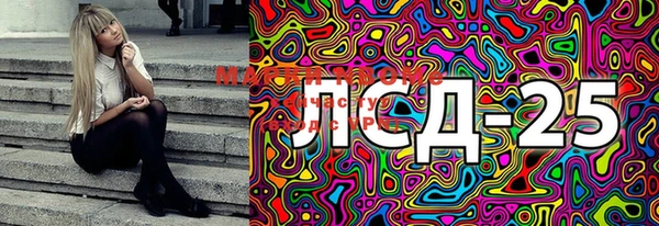 хмурый Снежногорск